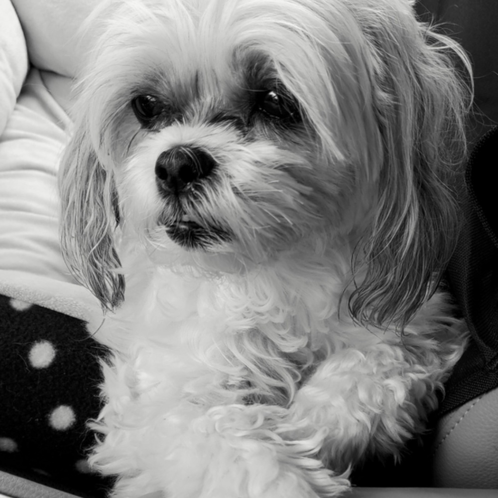 I finally said YES! Never too old to start new 🤗 xoxo - Picture 7 of 10